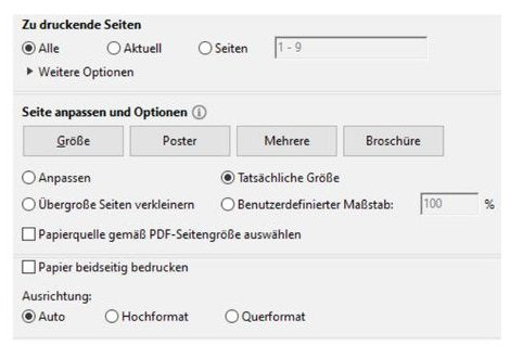 Druckdialog im Adobe Reader mit „Tatsächliche Größe“ und Ausrichtung „Auto“